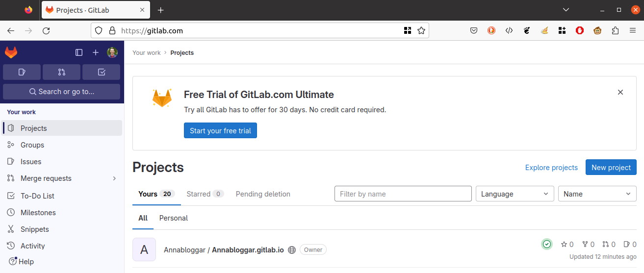 Skämdump av förstasidan på Gitlab